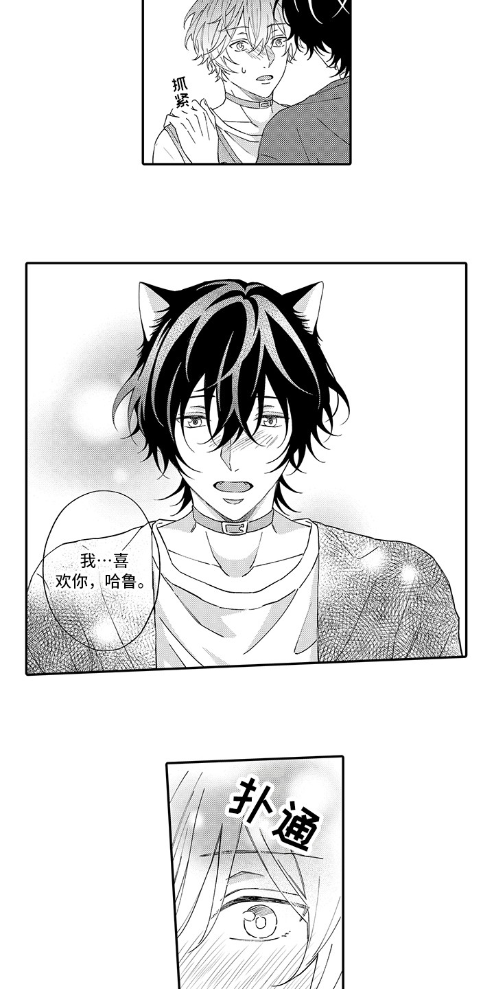 《猫咪之家》第10章表白 第6页