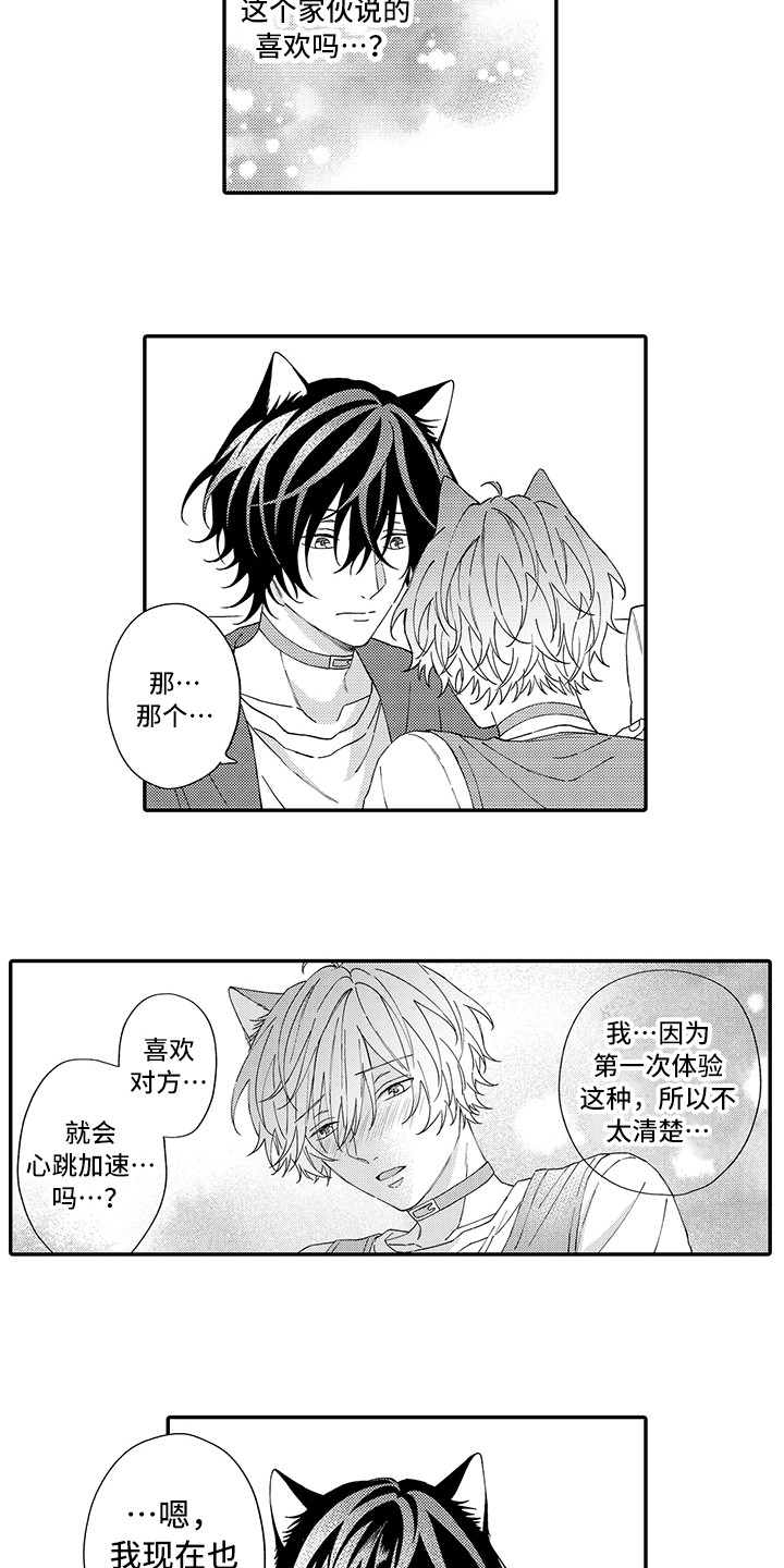 《猫咪之家》第10章表白 第8页