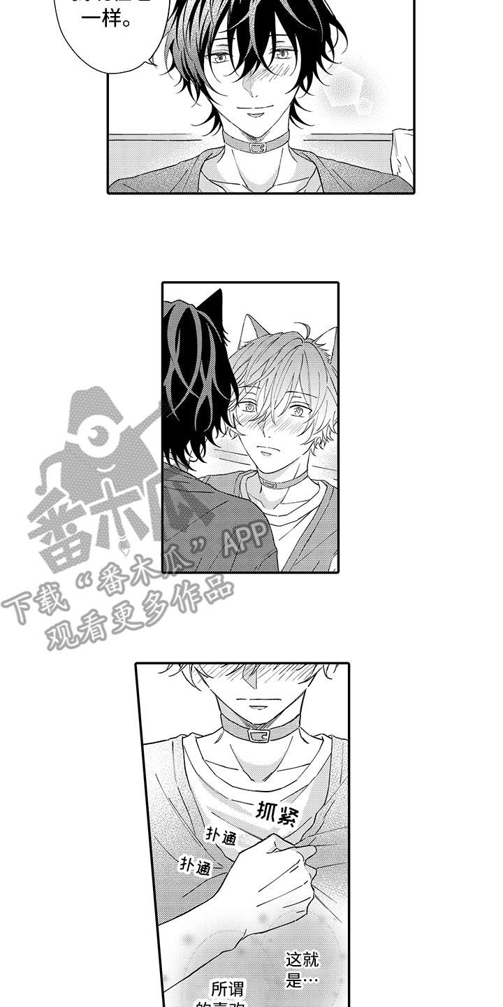 《猫咪之家》第10章表白 第9页