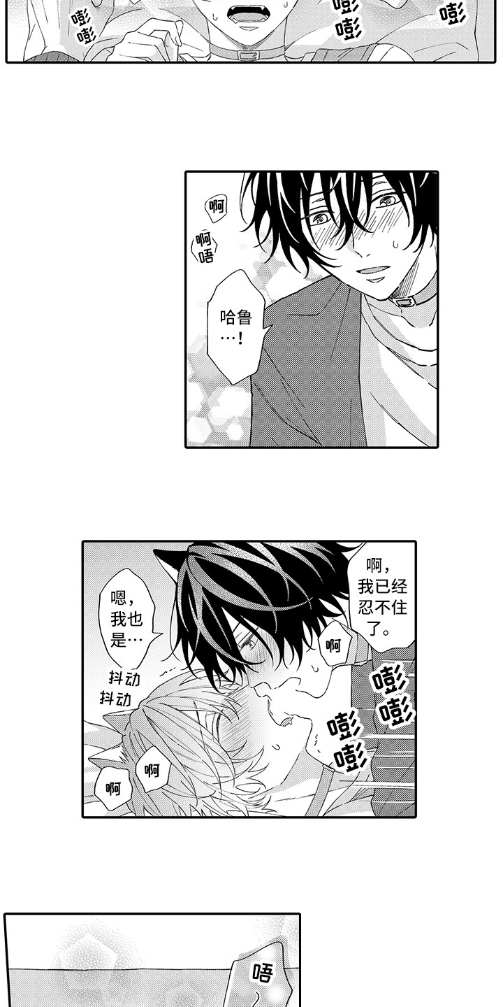 《猫咪之家》第11章很开心 第12页