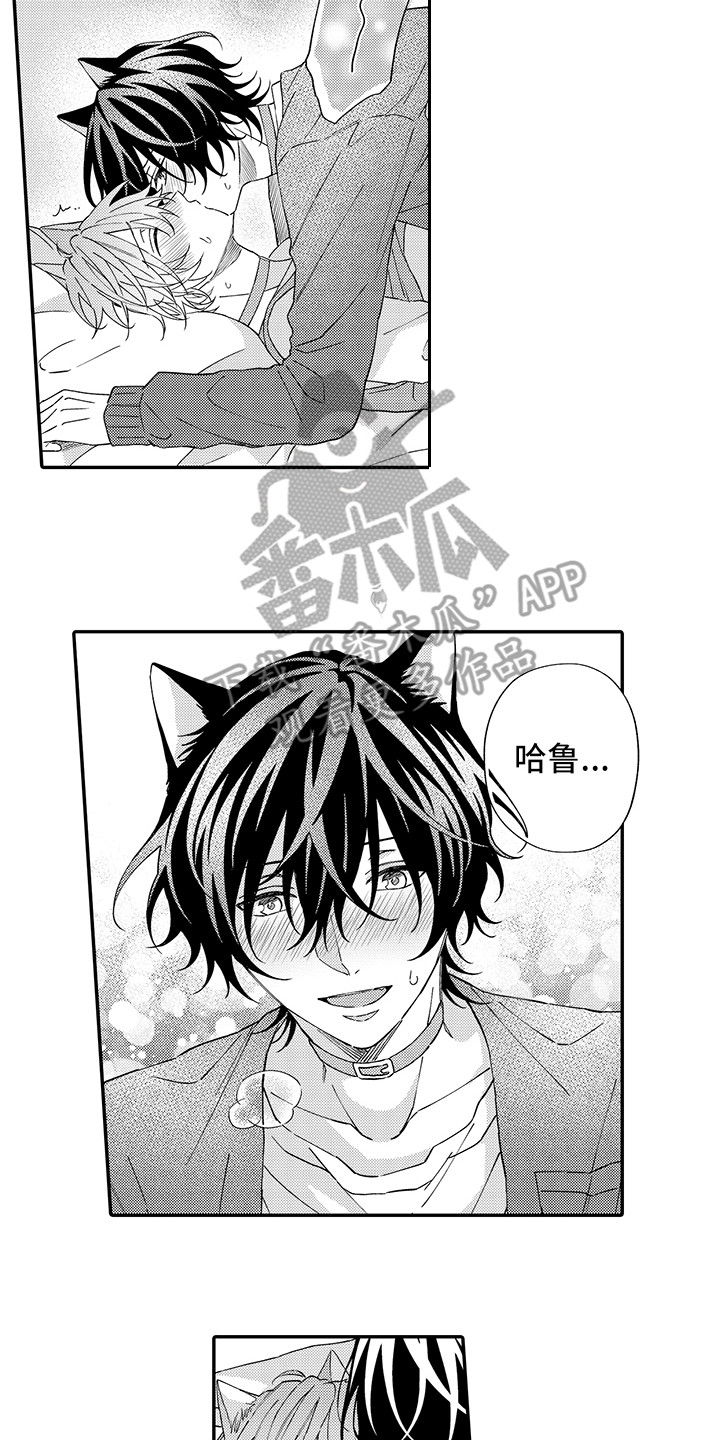 《猫咪之家》第11章很开心 第13页