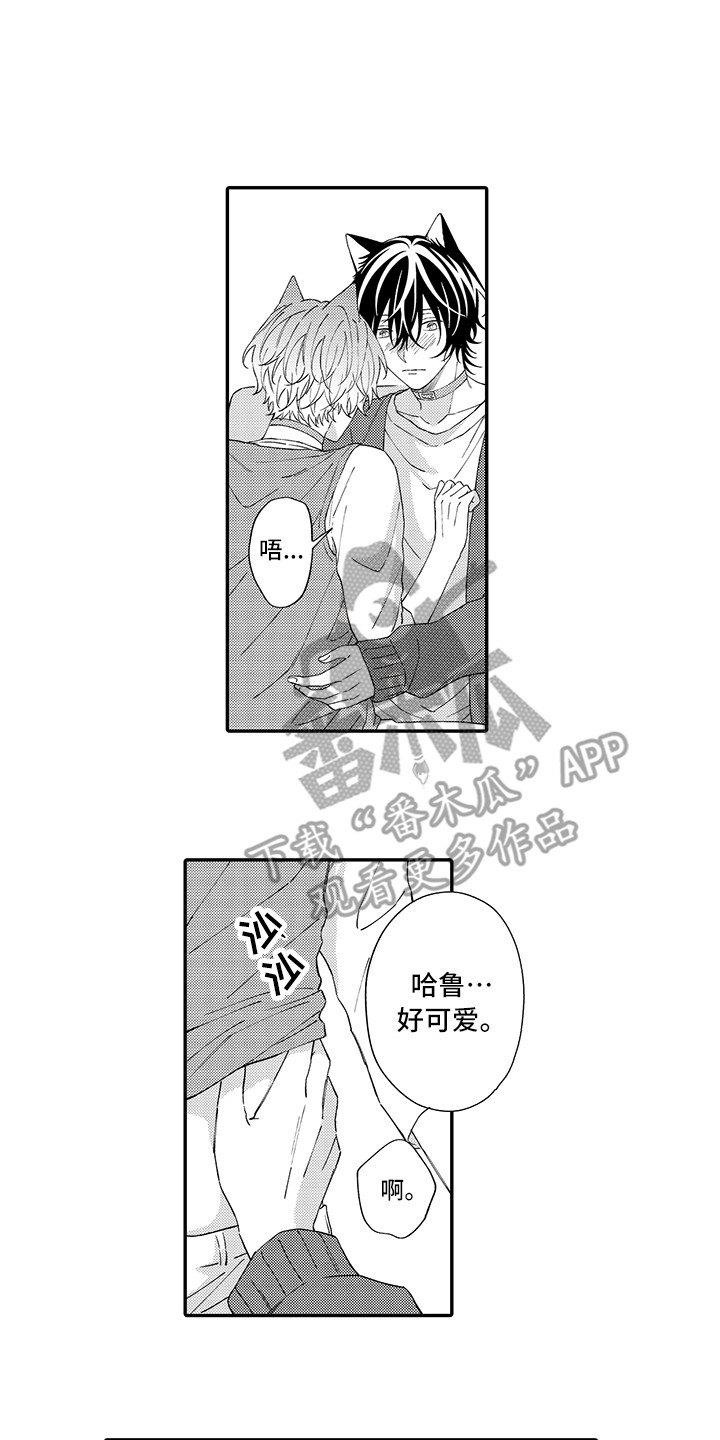 《猫咪之家》第11章很开心 第1页