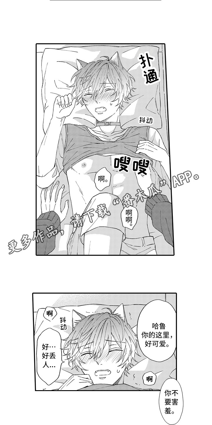 《猫咪之家》第11章很开心 第3页