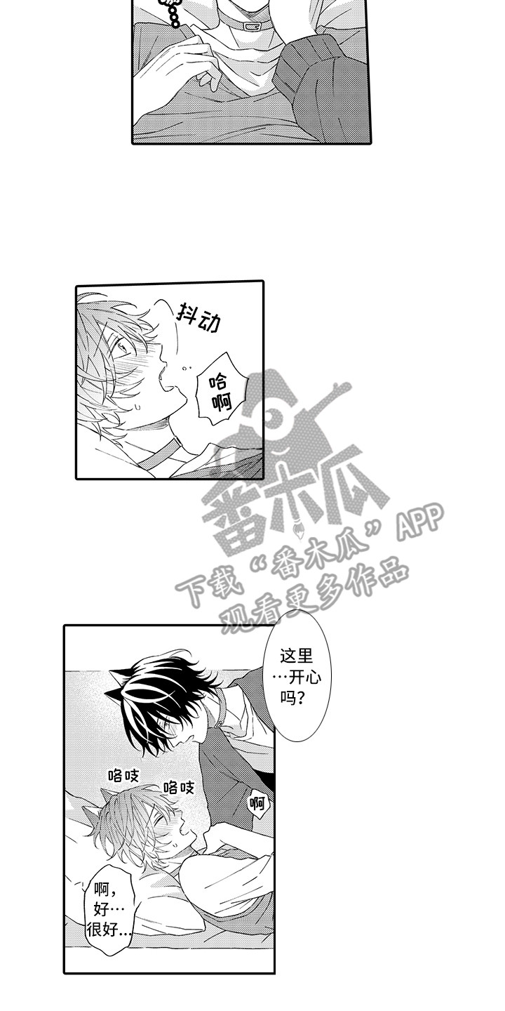 《猫咪之家》第11章很开心 第5页