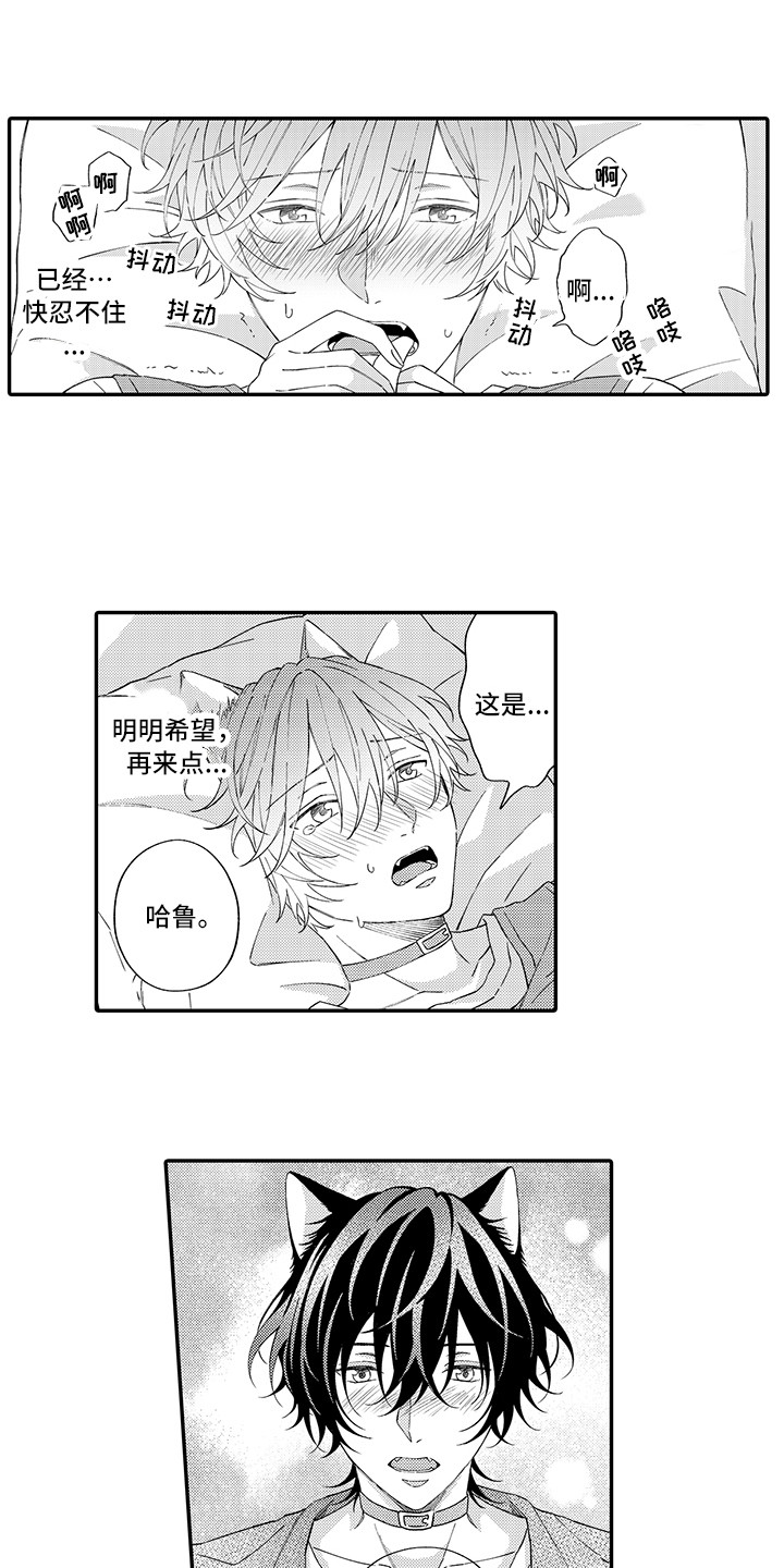 《猫咪之家》第11章很开心 第6页
