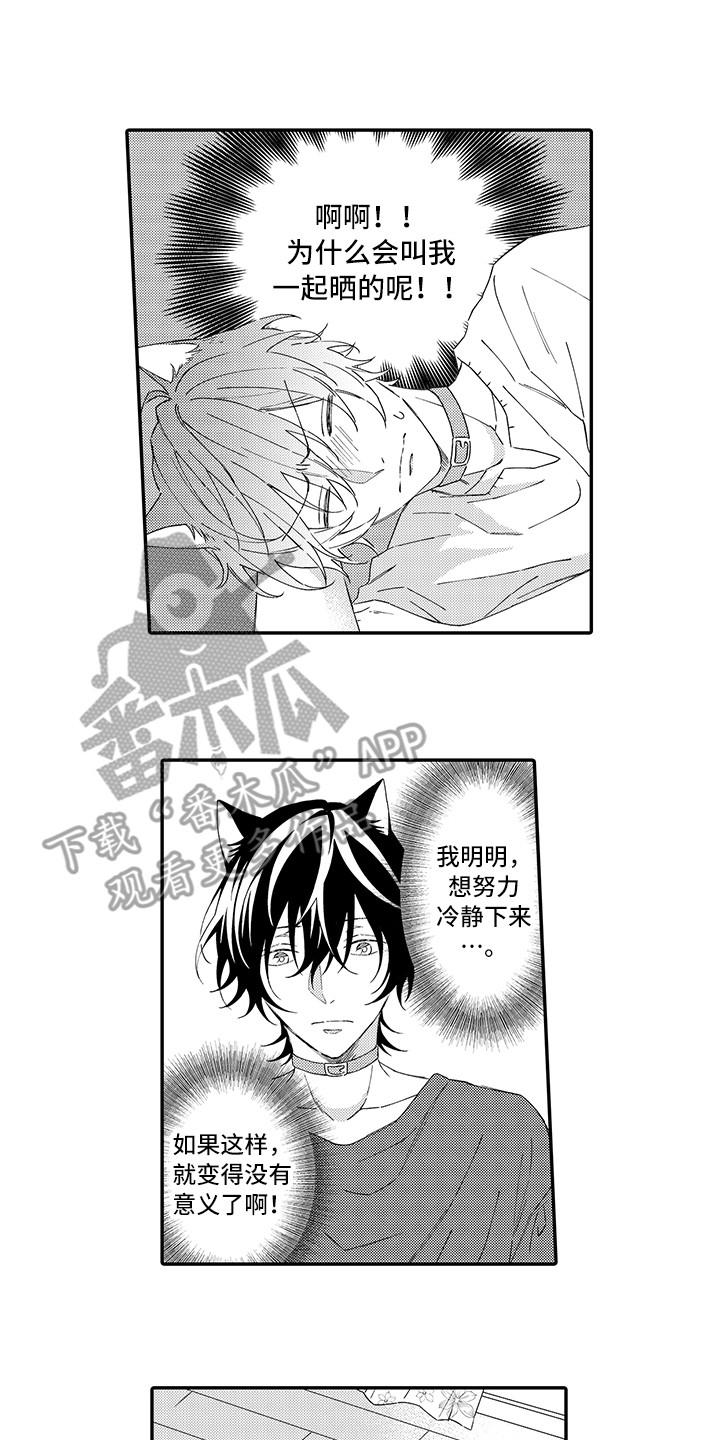 《猫咪之家》第6章笑容 第11页