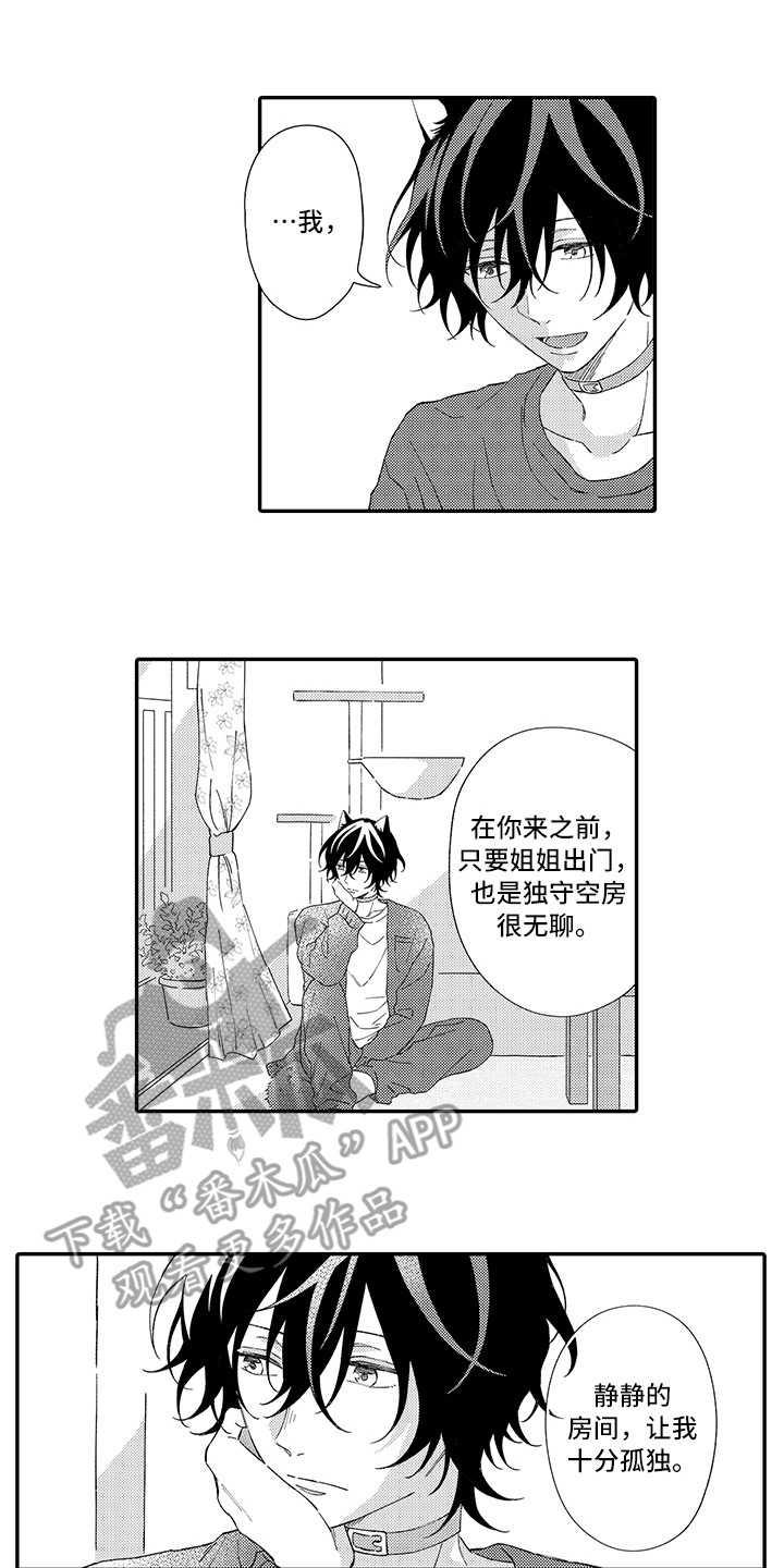 《猫咪之家》第6章笑容 第1页