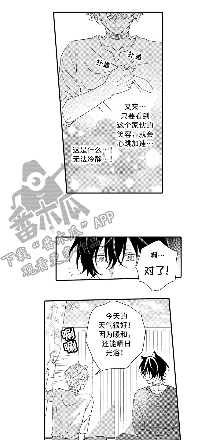 《猫咪之家》第6章笑容 第9页