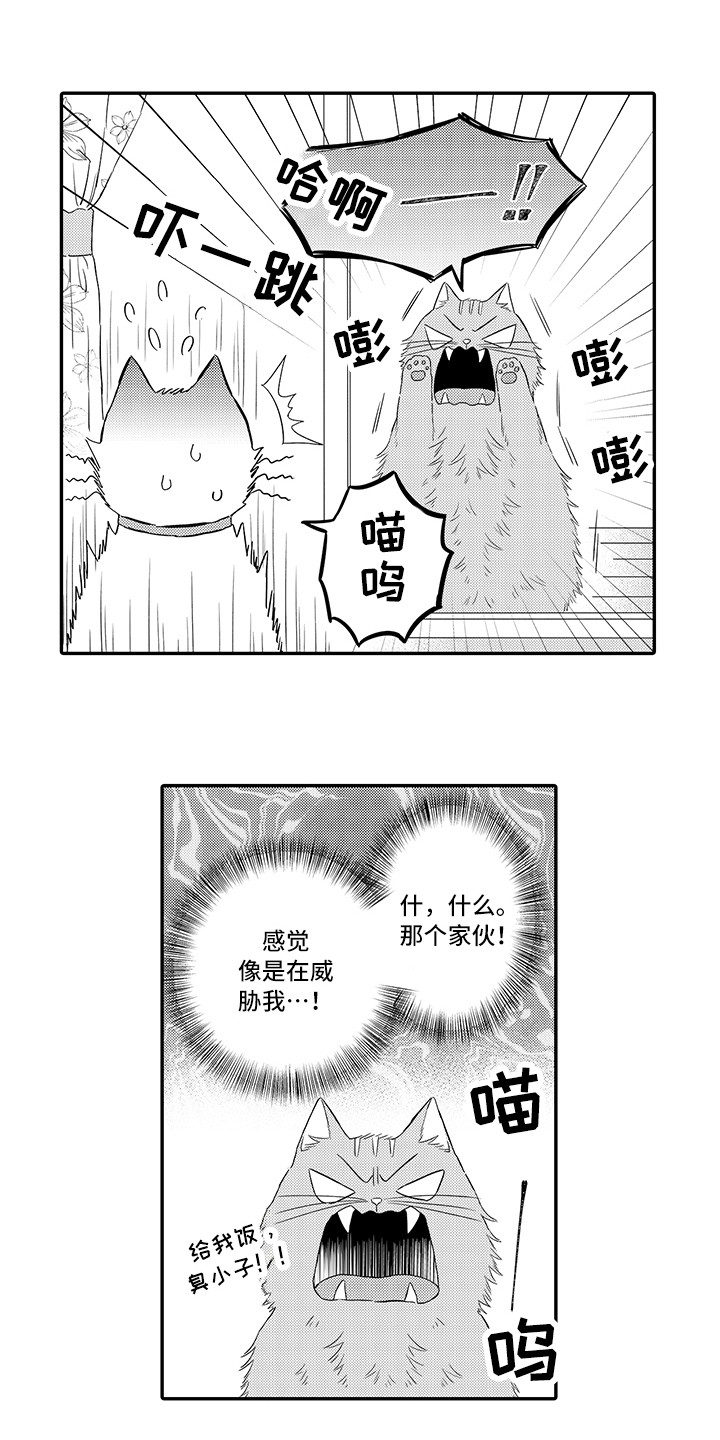 《猫咪之家》第8章不再讨厌 第10页