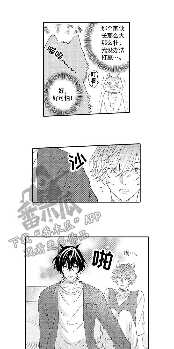 《猫咪之家》第8章不再讨厌 第11页