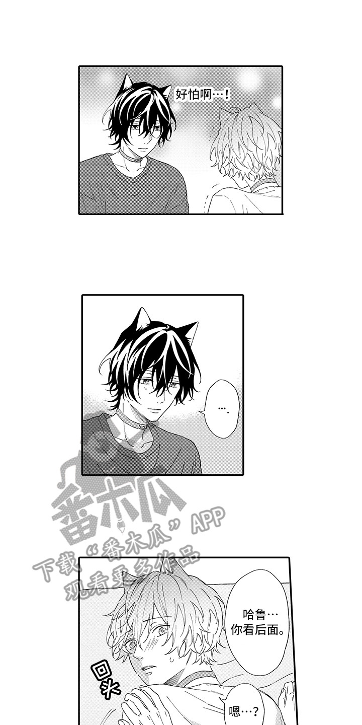 《猫咪之家》第8章不再讨厌 第1页