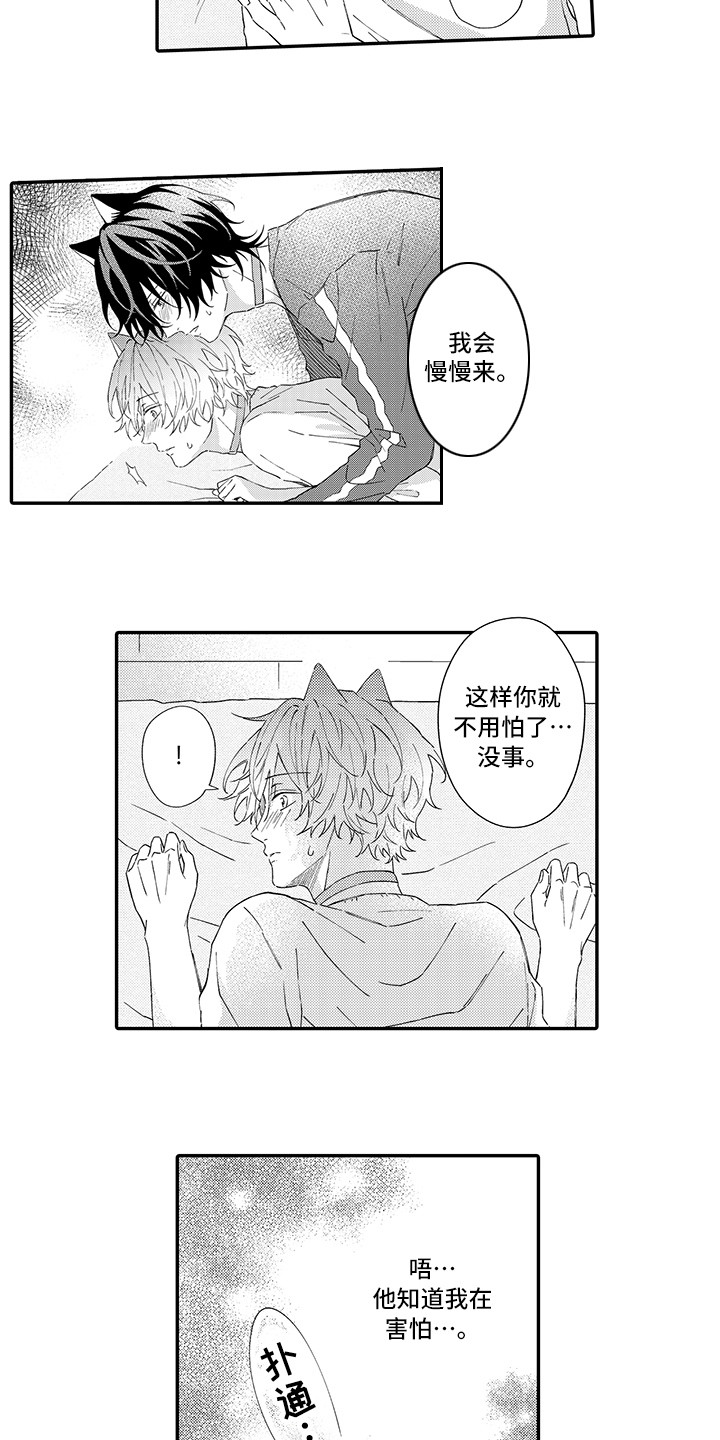 《猫咪之家》第8章不再讨厌 第2页