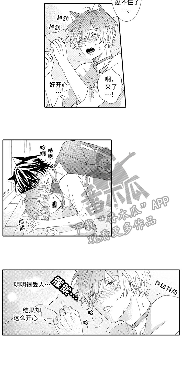 《猫咪之家》第8章不再讨厌 第5页