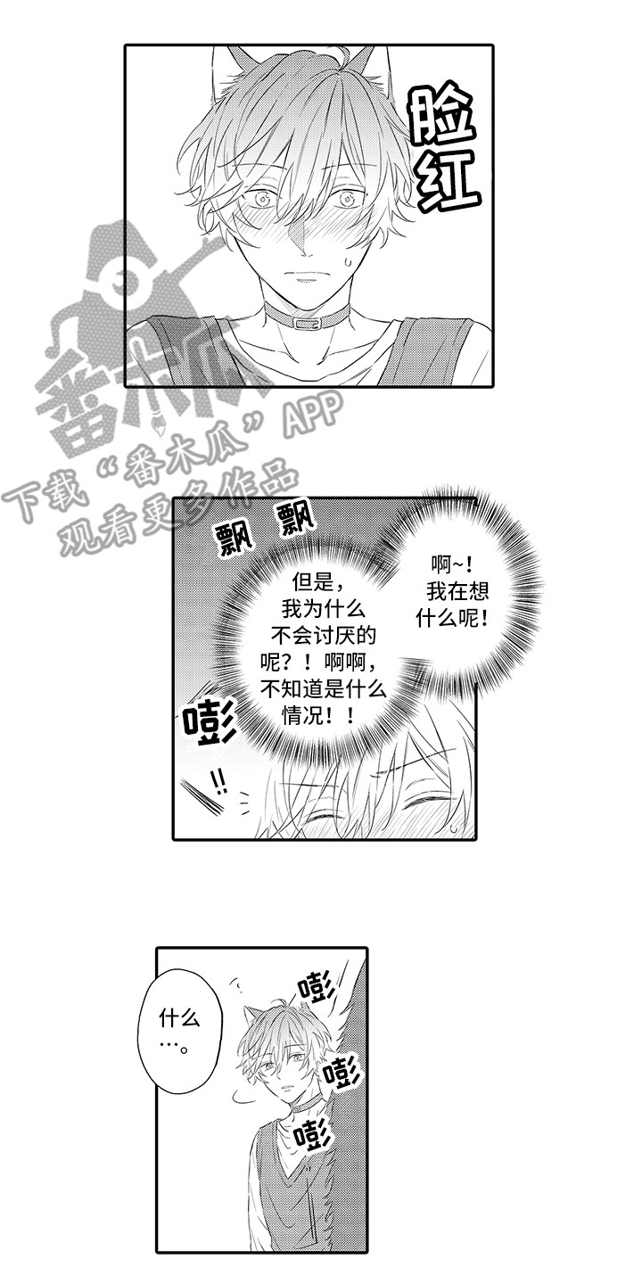 《猫咪之家》第8章不再讨厌 第9页