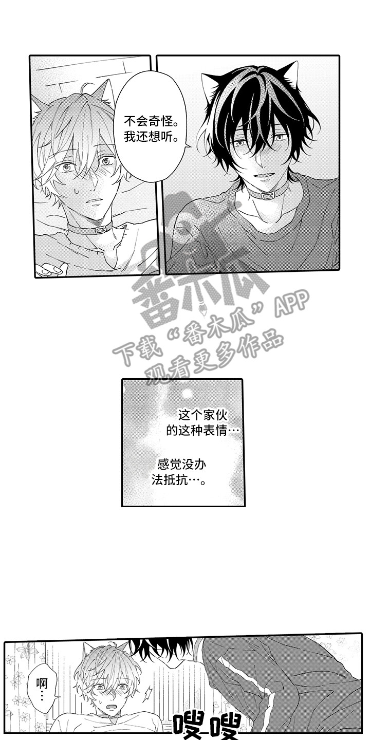 《猫咪之家》第7章没法抵抗 第11页