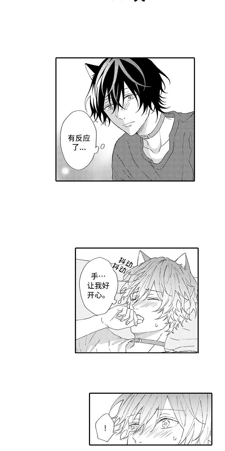 《猫咪之家》第7章没法抵抗 第12页