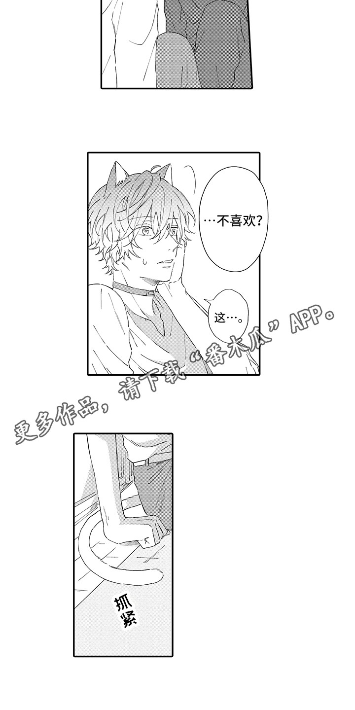 《猫咪之家》第7章没法抵抗 第3页