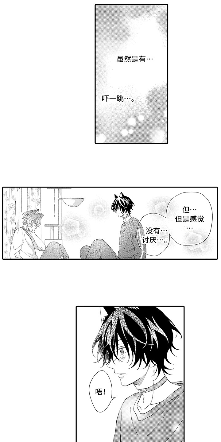 《猫咪之家》第7章没法抵抗 第4页