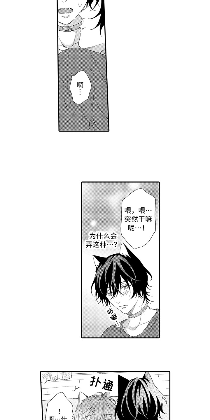 《猫咪之家》第7章没法抵抗 第8页