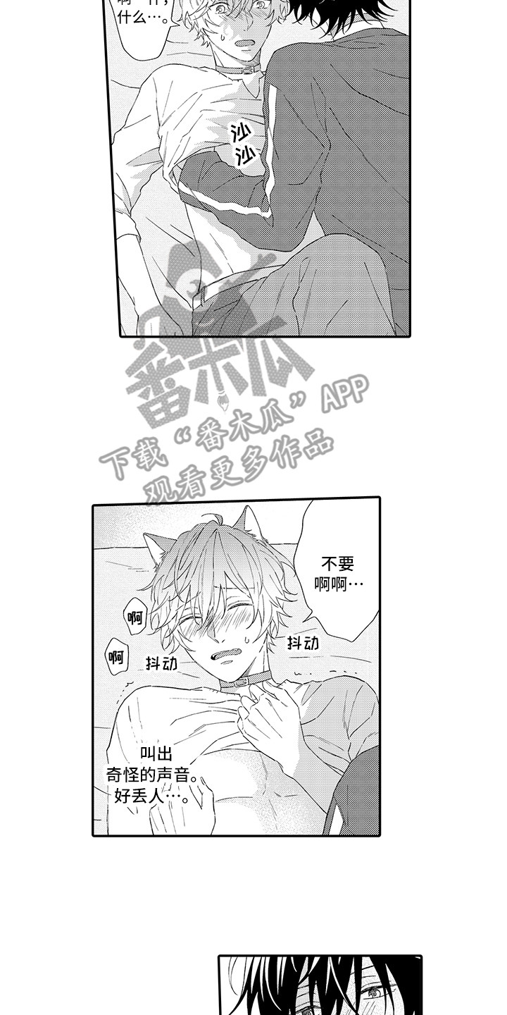 《猫咪之家》第7章没法抵抗 第9页