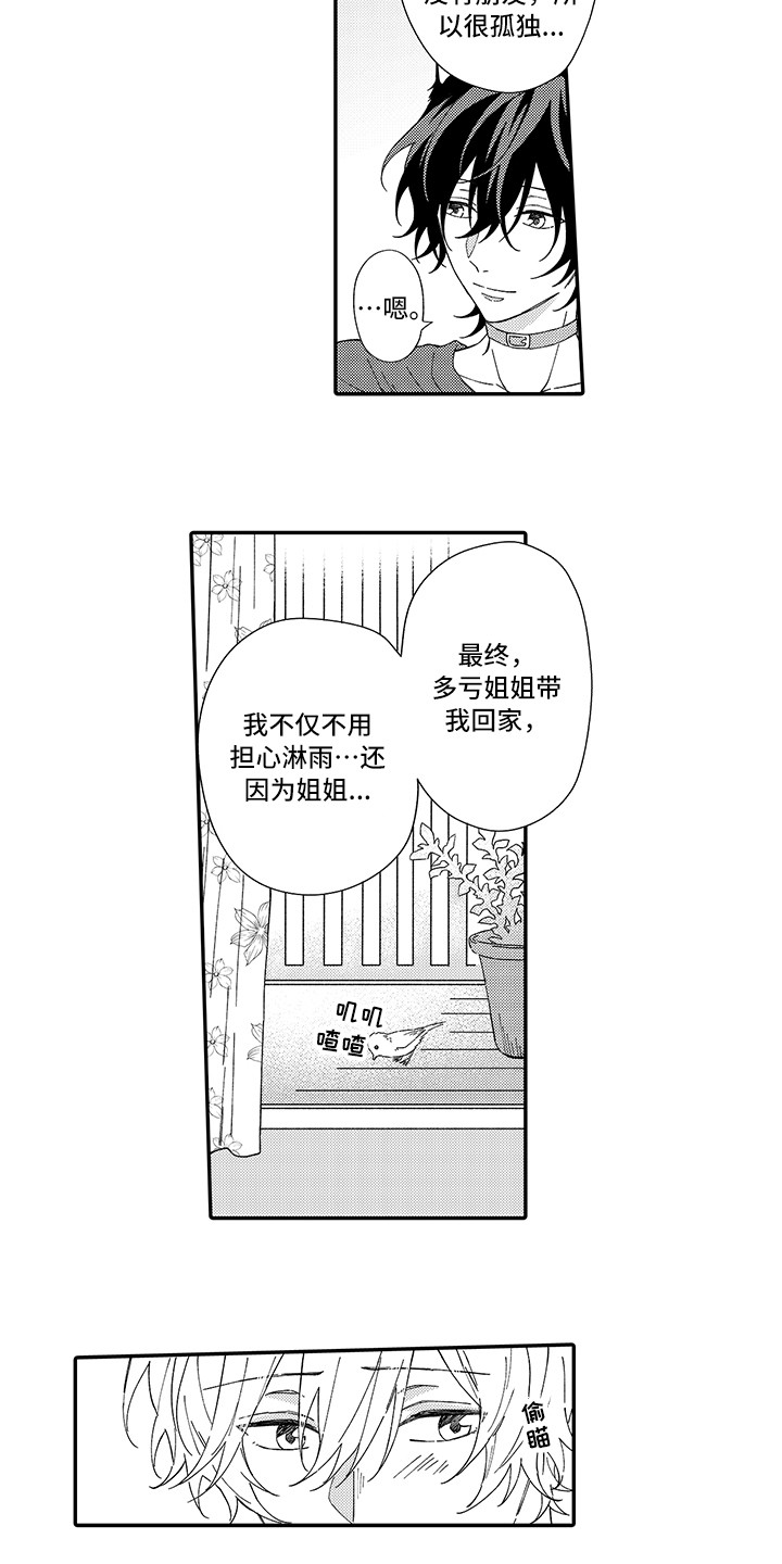 《猫咪之家》第5章倾诉 第10页