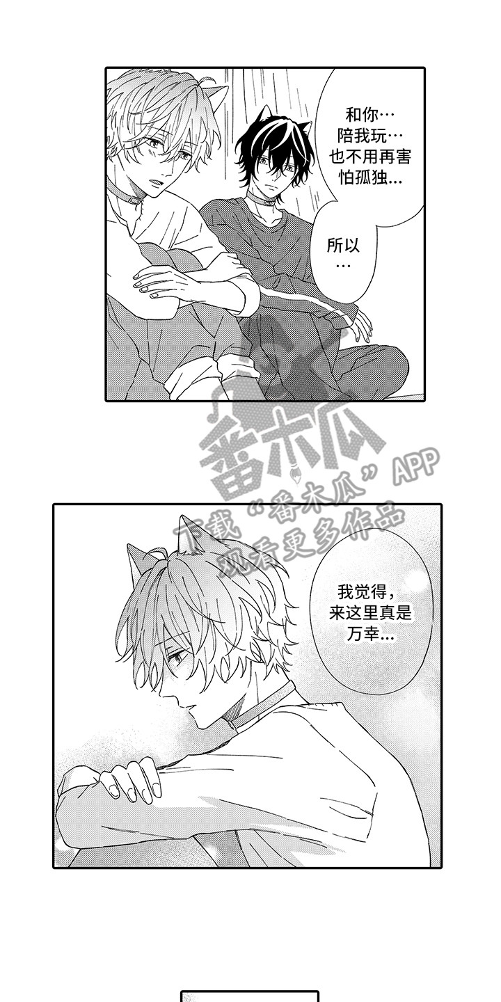 《猫咪之家》第5章倾诉 第11页