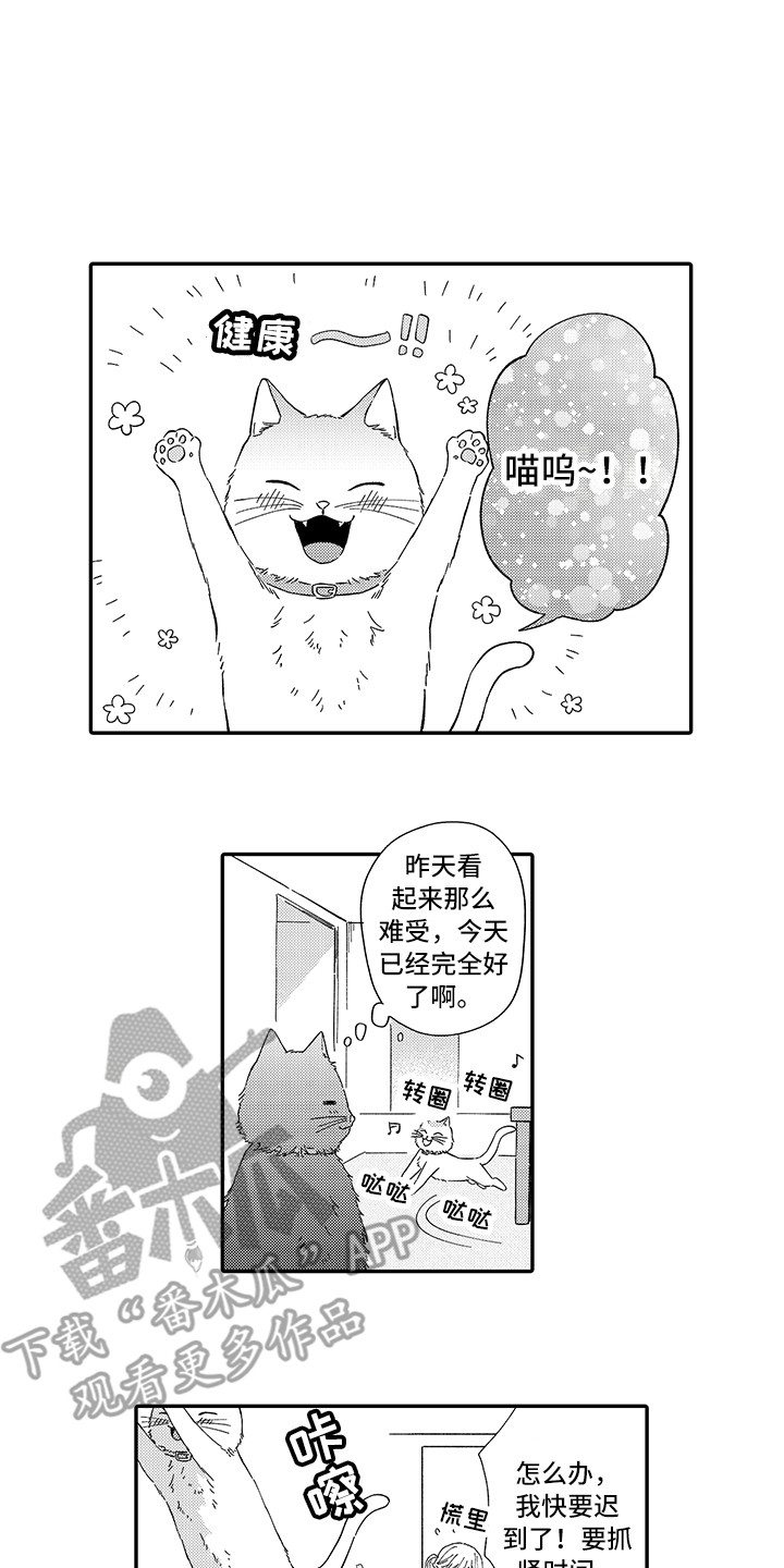 《猫咪之家》第5章倾诉 第1页