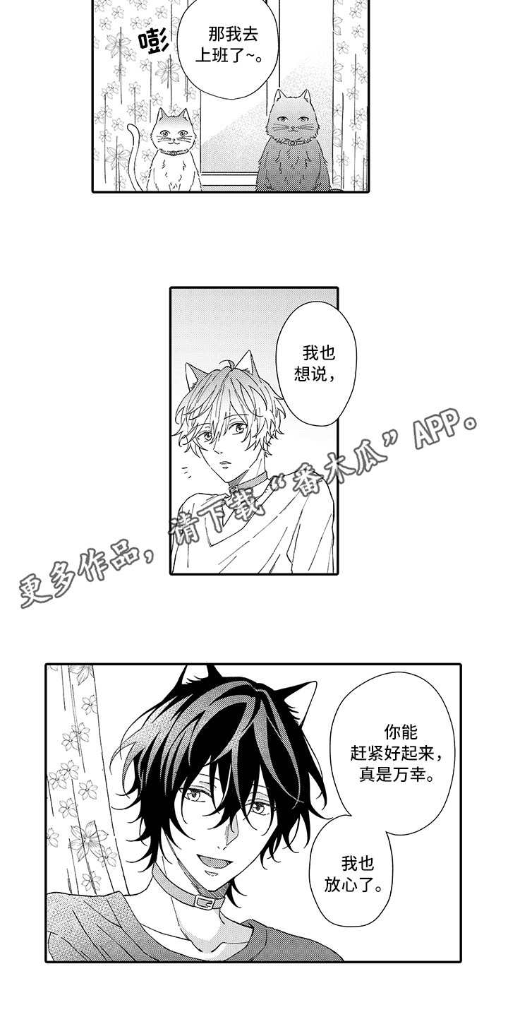 《猫咪之家》第5章倾诉 第3页