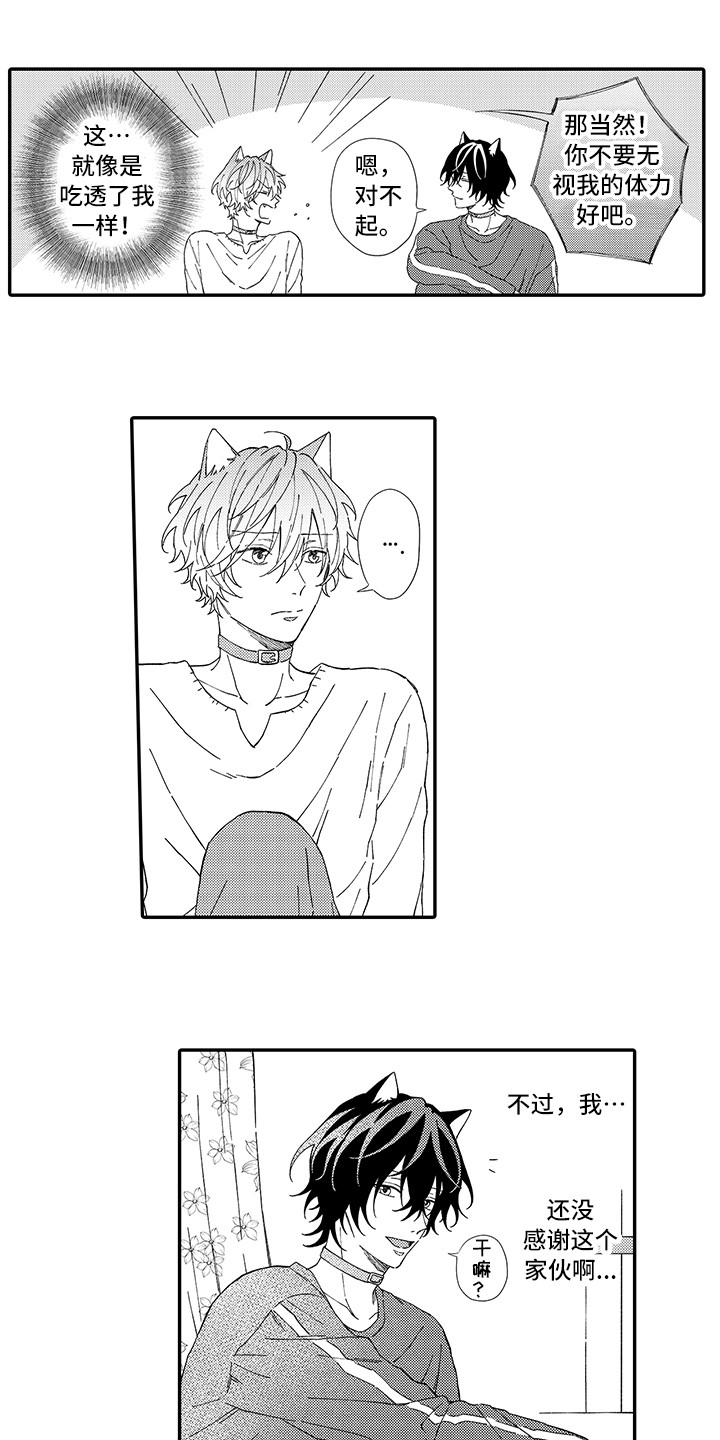 《猫咪之家》第5章倾诉 第4页