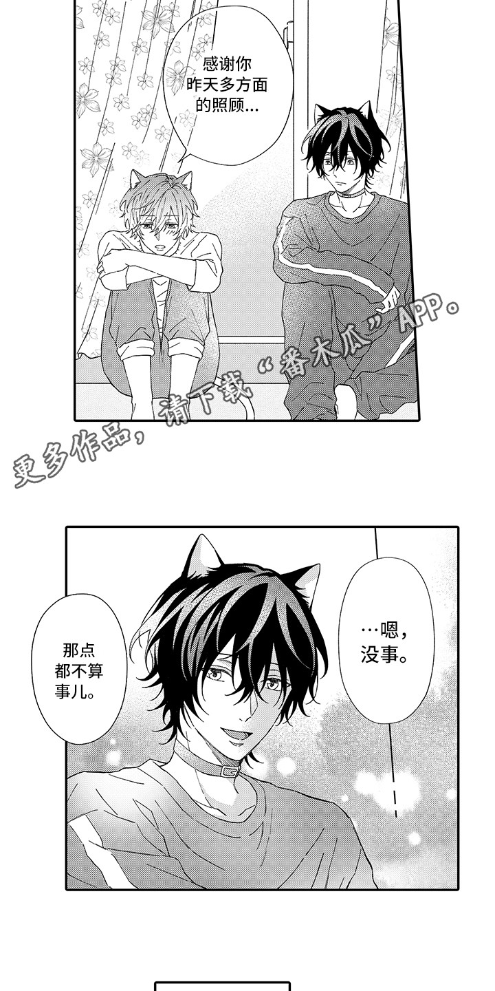 《猫咪之家》第5章倾诉 第7页