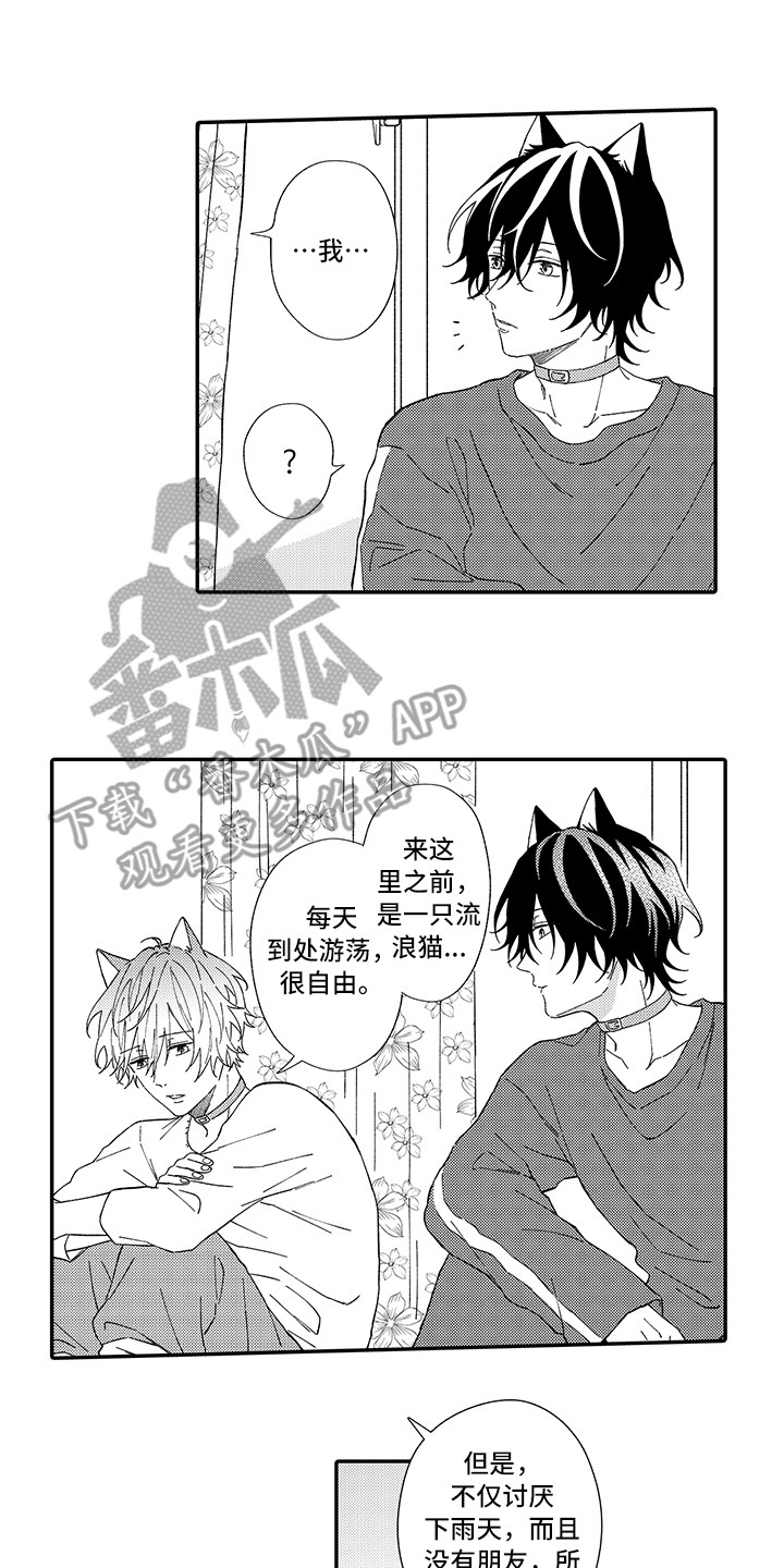 《猫咪之家》第5章倾诉 第9页