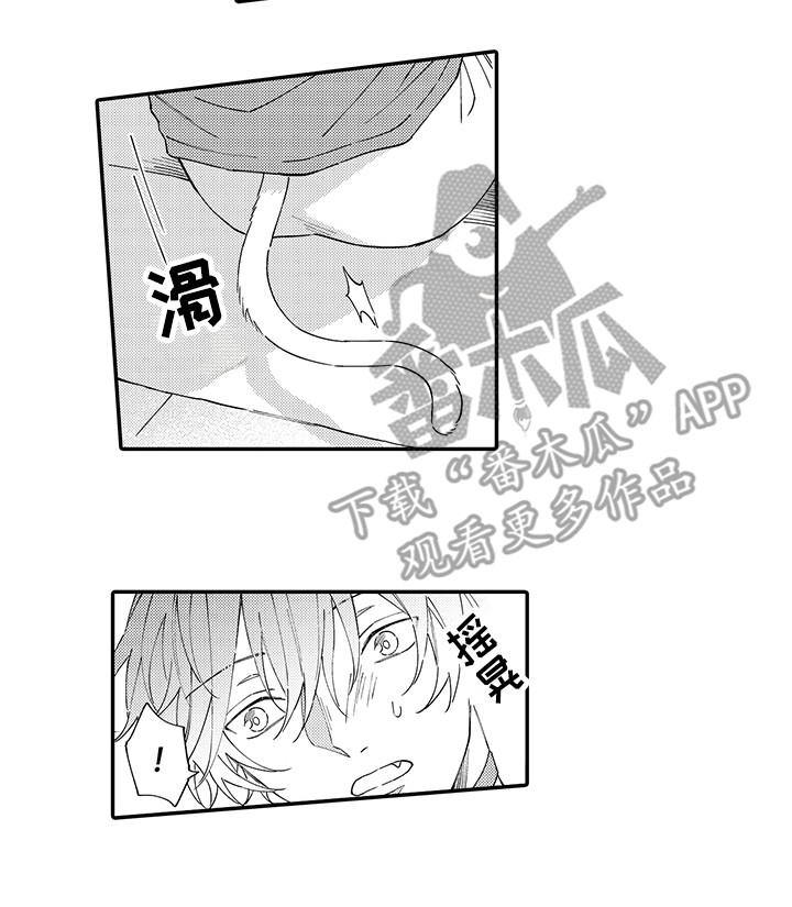 《猫咪之家》第9章心跳加快 第13页