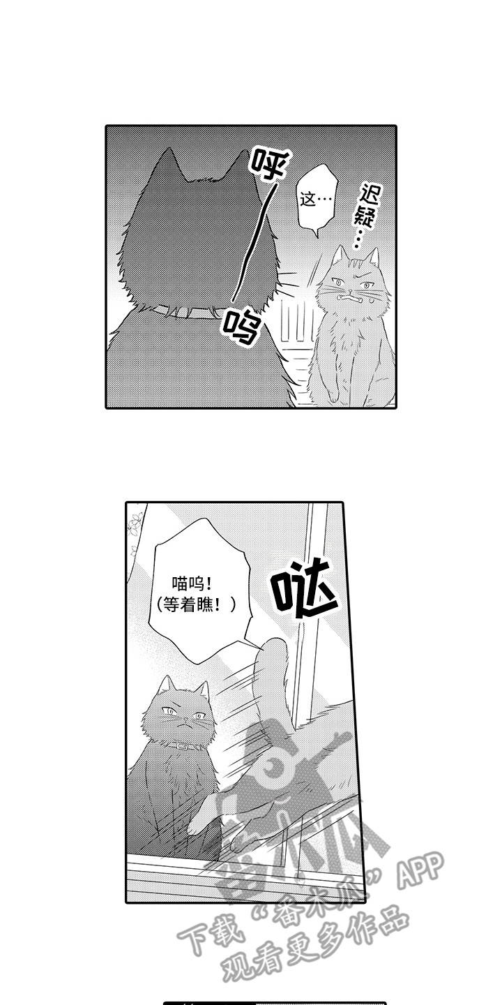 《猫咪之家》第9章心跳加快 第1页