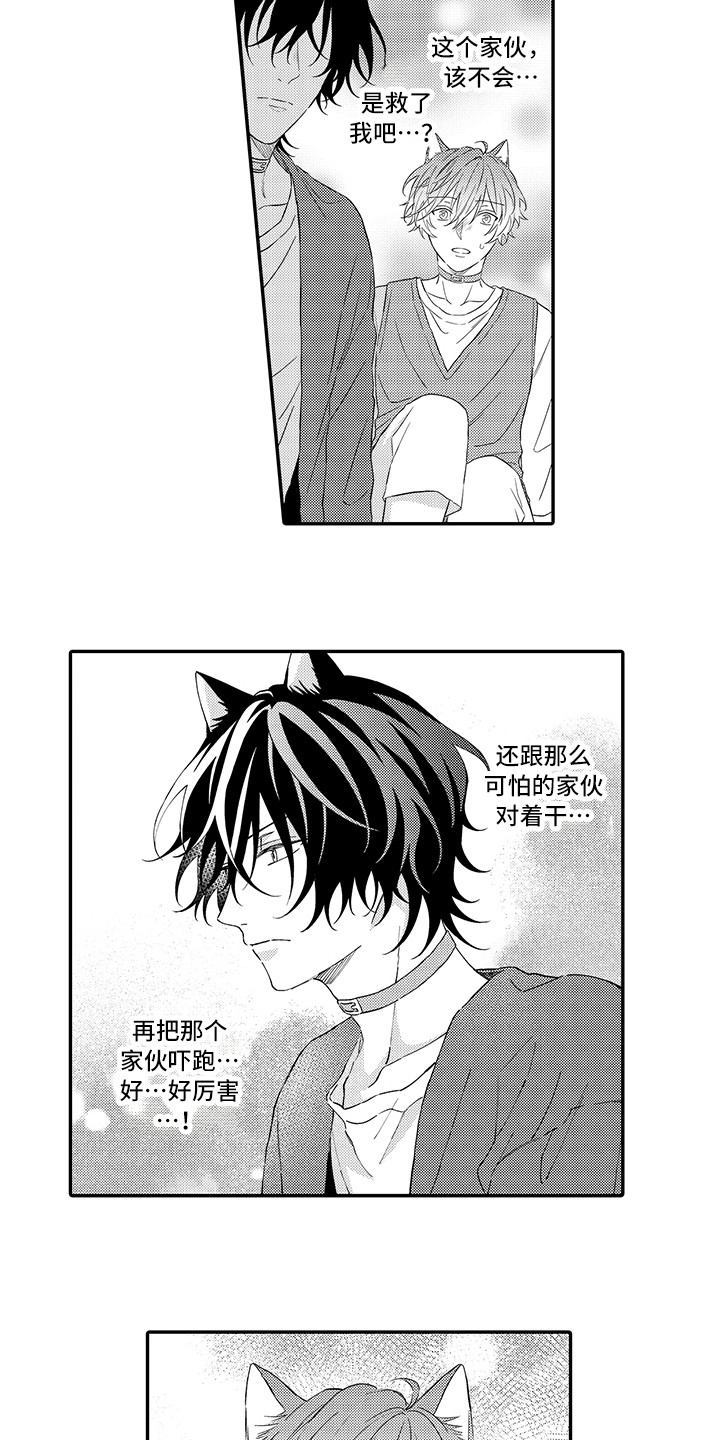 《猫咪之家》第9章心跳加快 第2页