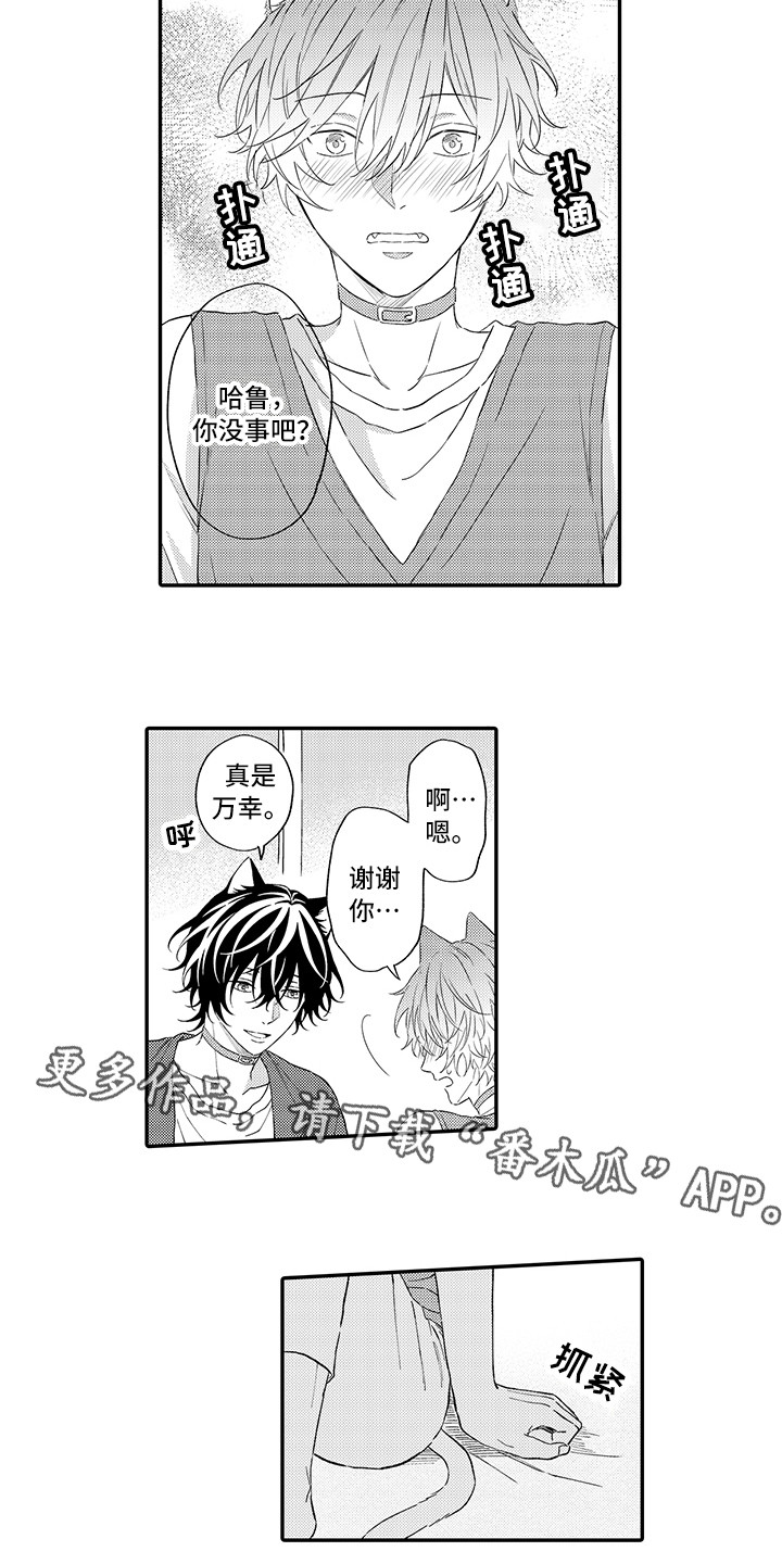 《猫咪之家》第9章心跳加快 第3页