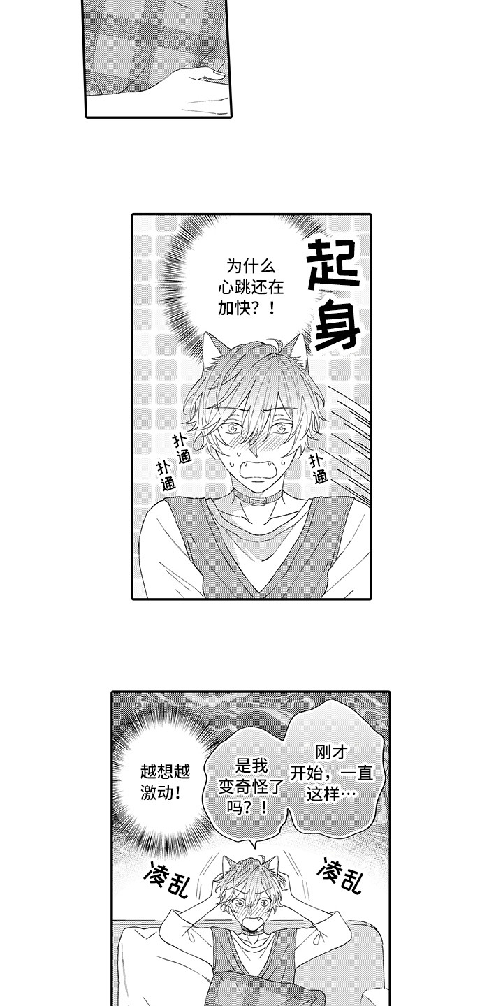 《猫咪之家》第9章心跳加快 第6页