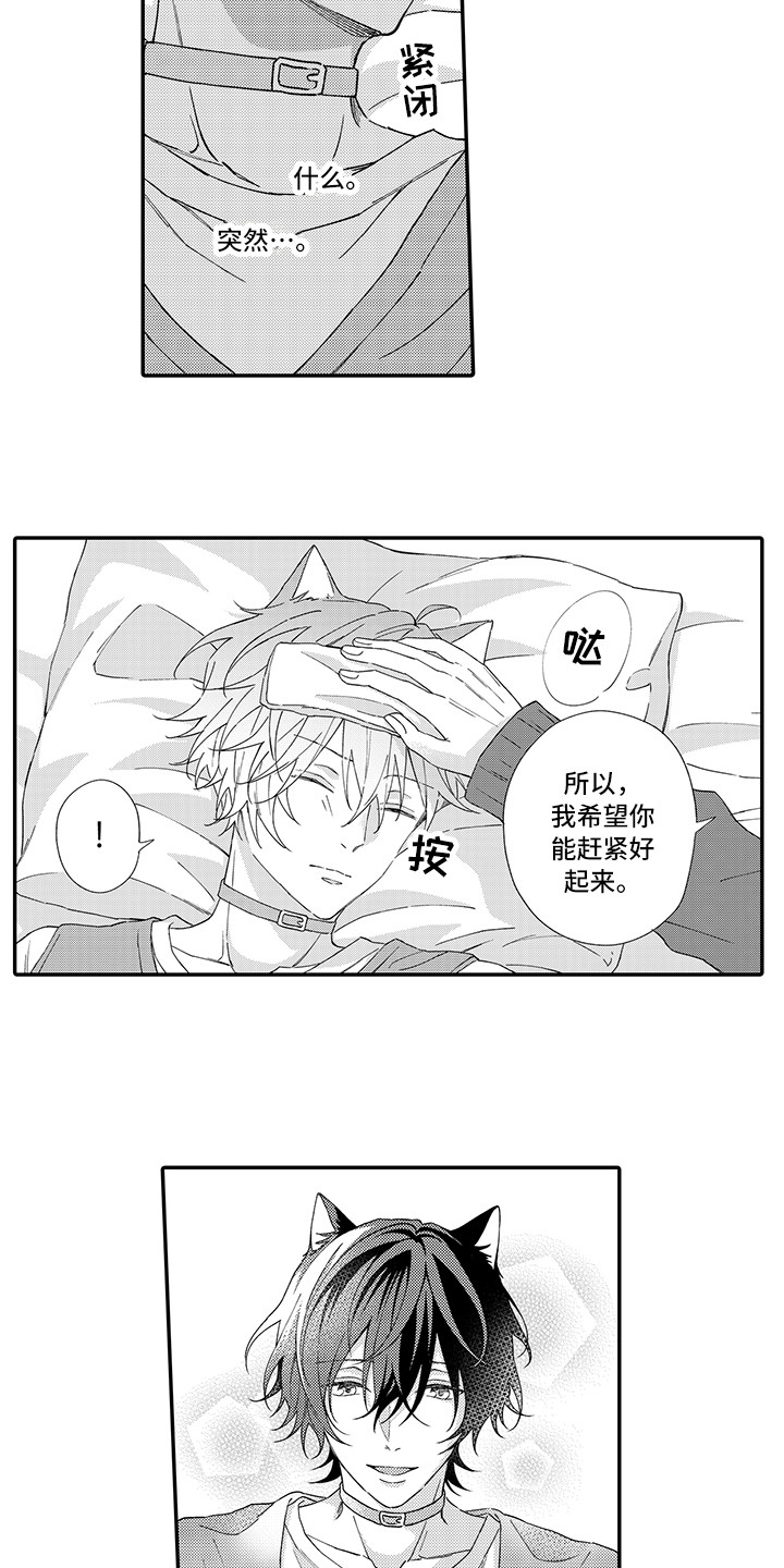 《猫咪之家》第3章发烧 第11页