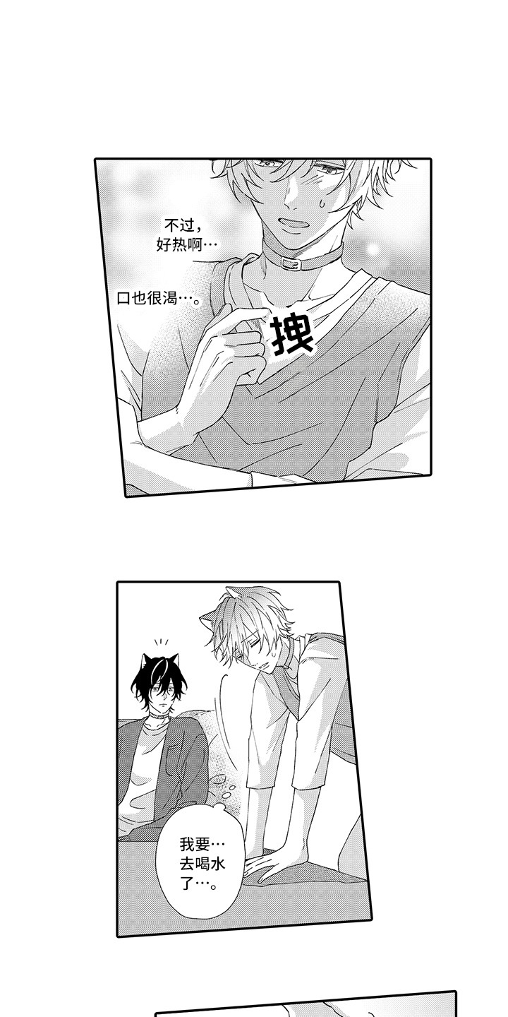 《猫咪之家》第3章发烧 第1页