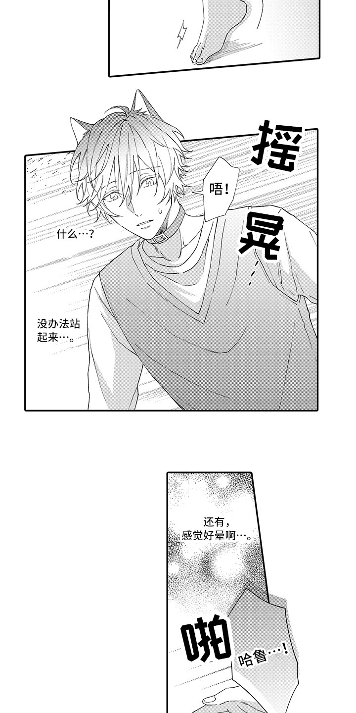 《猫咪之家》第3章发烧 第2页