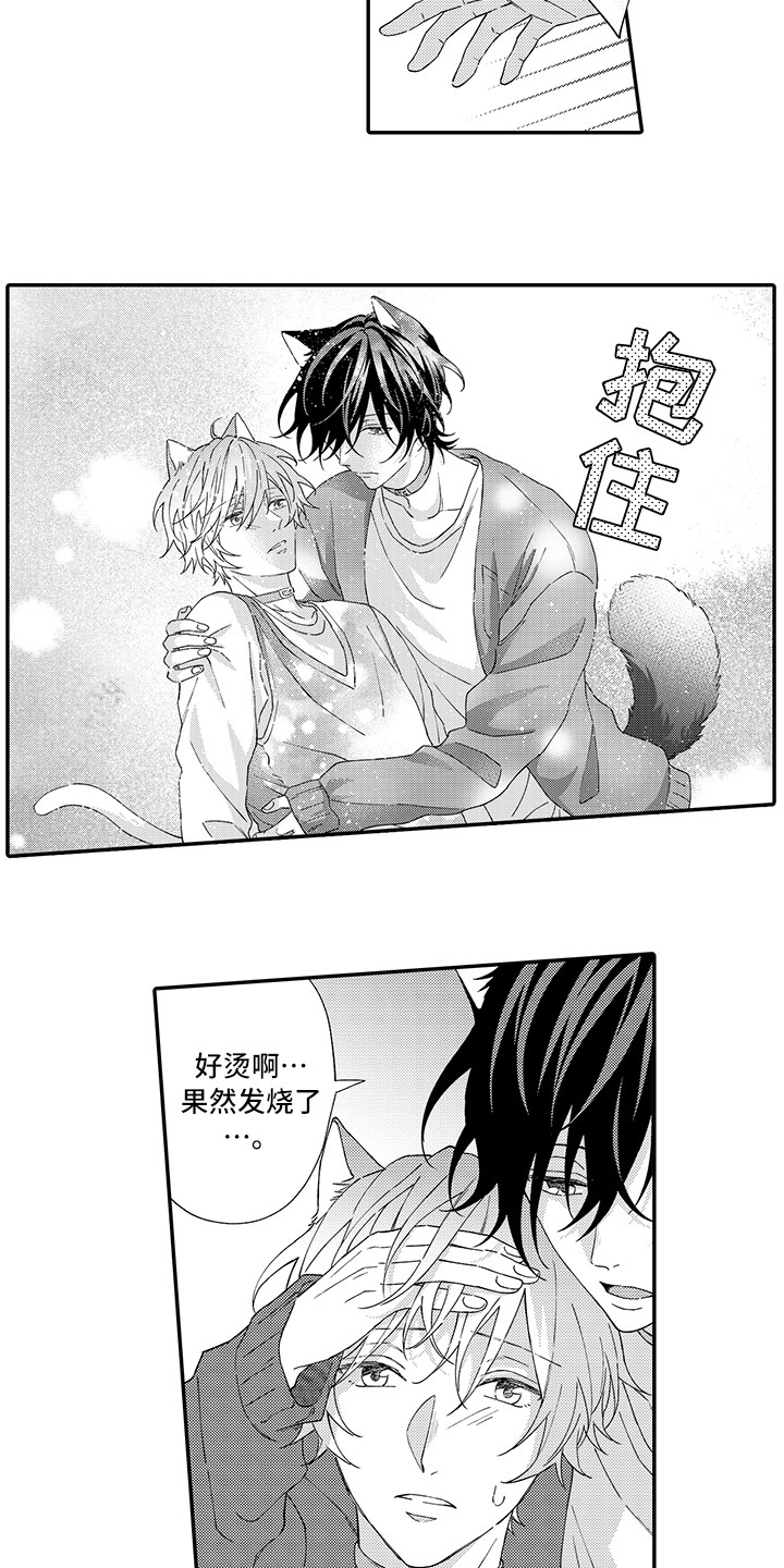 《猫咪之家》第3章发烧 第3页