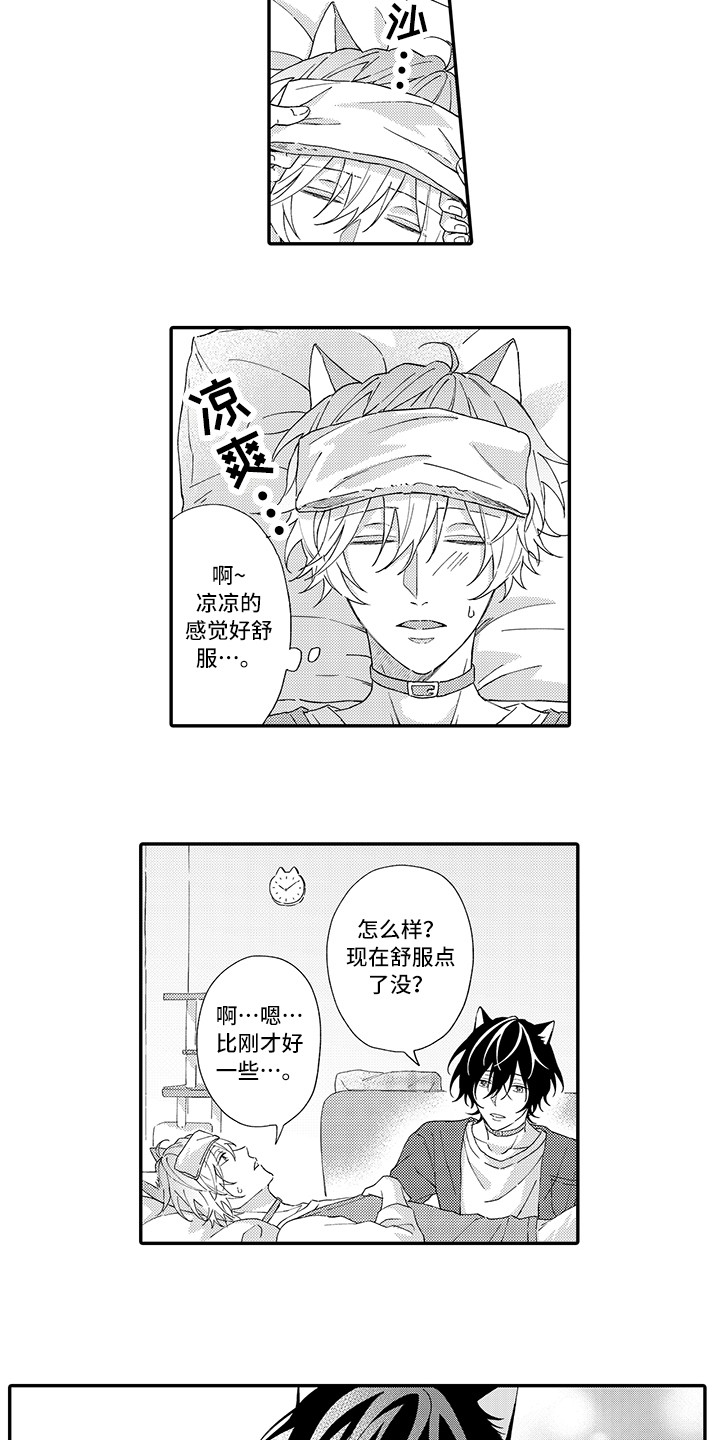 《猫咪之家》第3章发烧 第5页