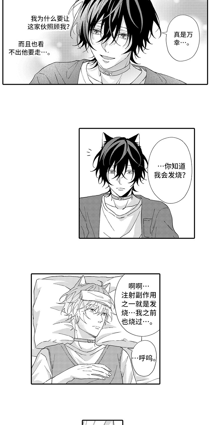 《猫咪之家》第3章发烧 第6页