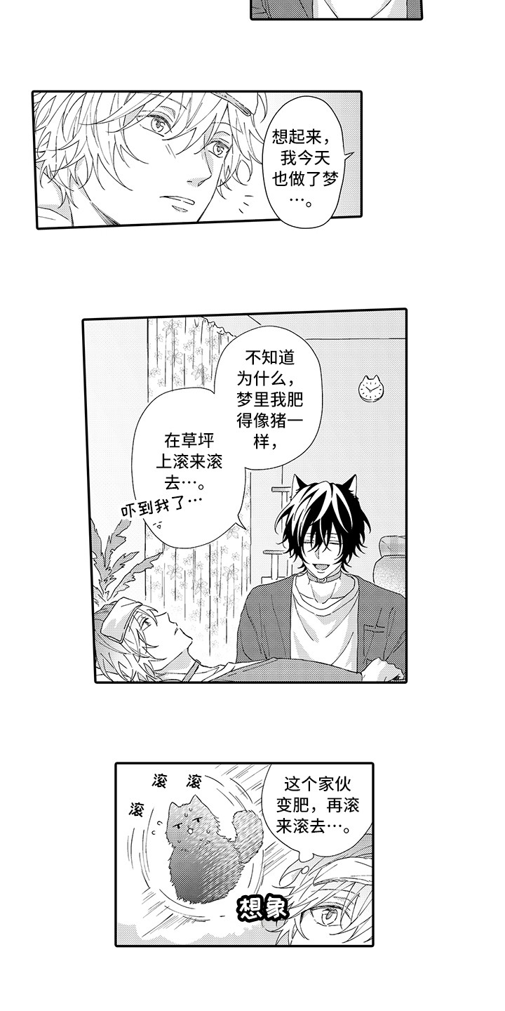《猫咪之家》第3章发烧 第8页