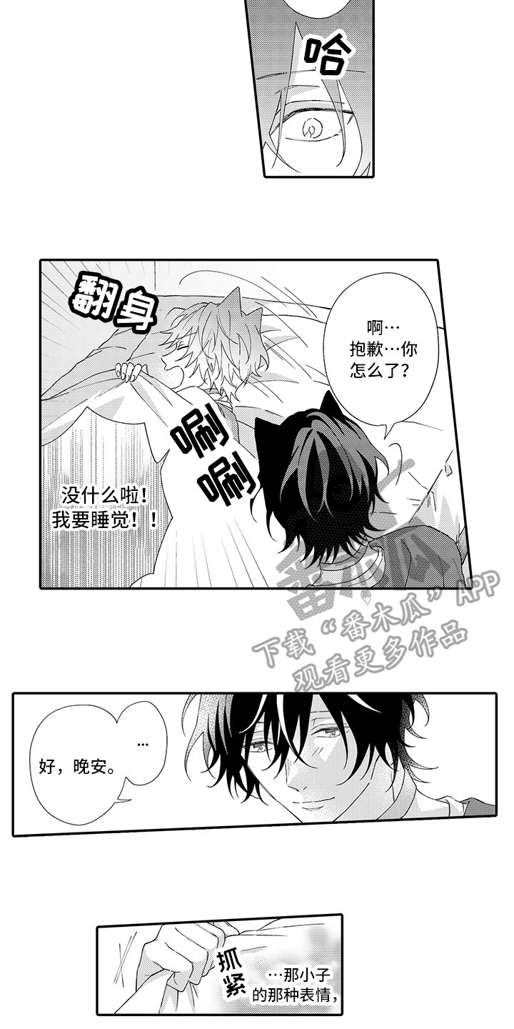 《猫咪之家》第4章照顾 第11页