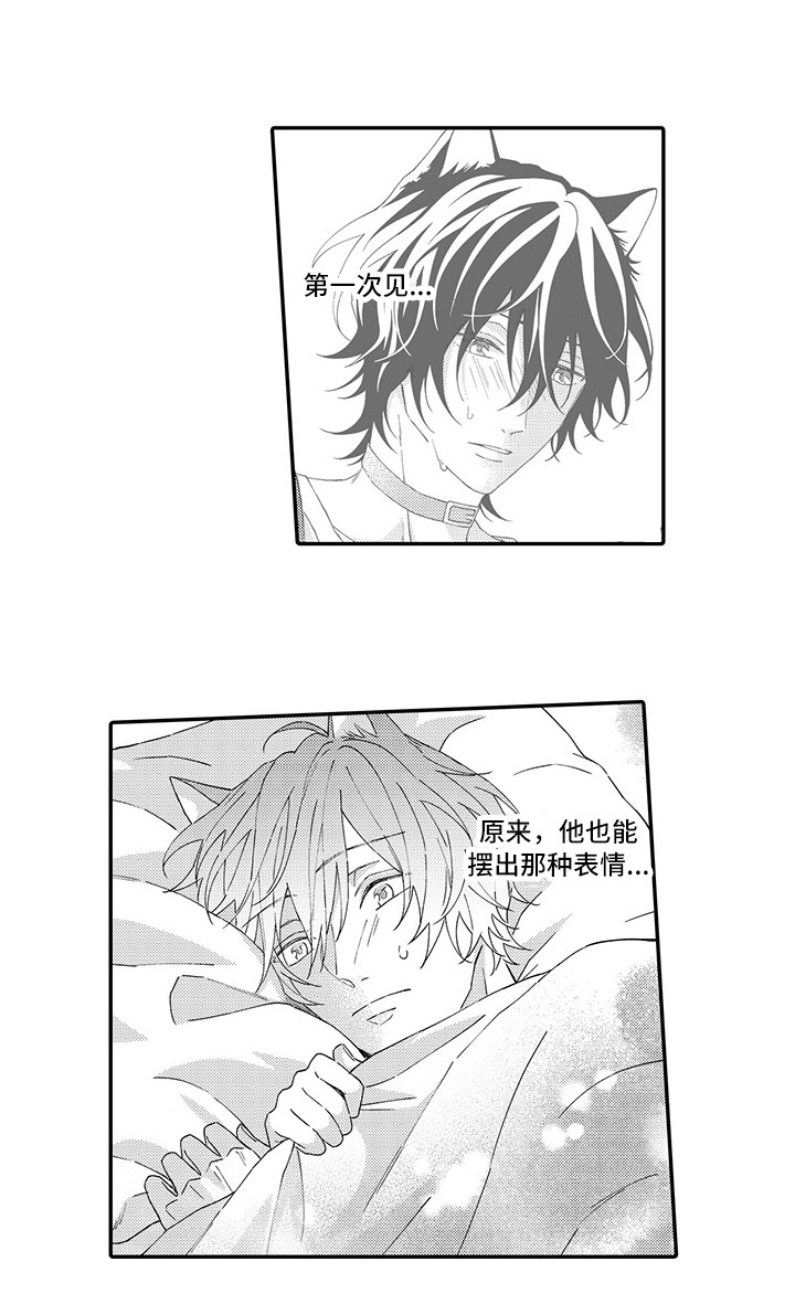 《猫咪之家》第4章照顾 第12页