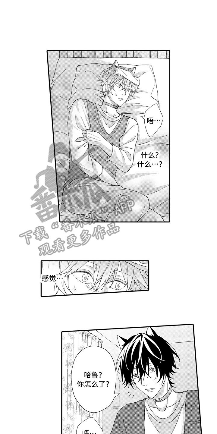 《猫咪之家》第4章照顾 第1页