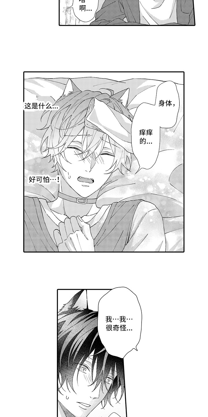 《猫咪之家》第4章照顾 第2页