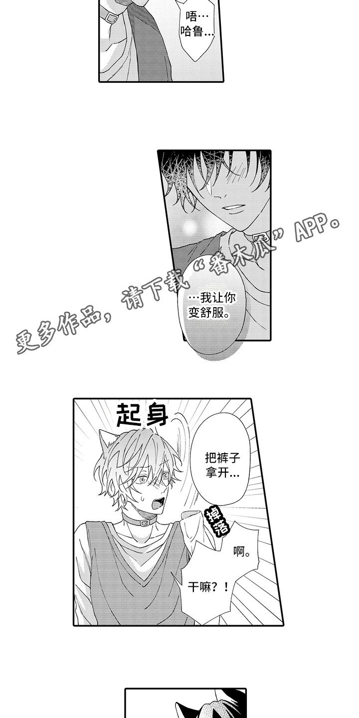 《猫咪之家》第4章照顾 第3页