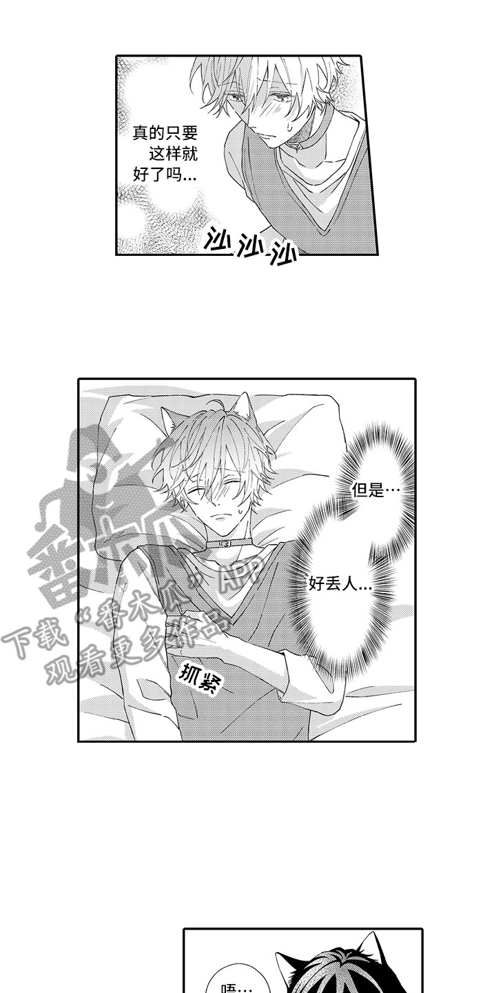 《猫咪之家》第4章照顾 第5页