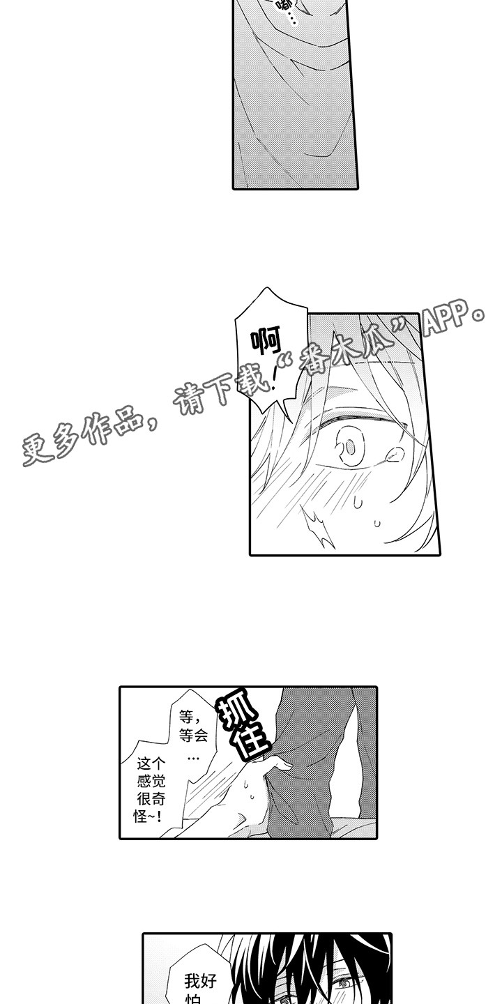 《猫咪之家》第4章照顾 第7页
